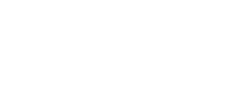 Flysurfer sonic Kitesurf Kitesurfing Kite Kitesurf Kite BUY NOW KITE SHOP KITESURFING SHOP