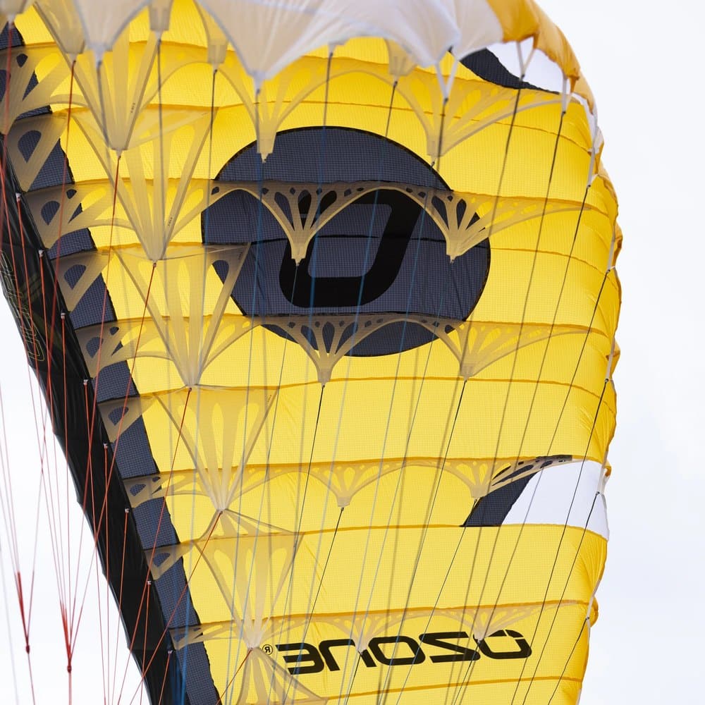 Load-Targeted Rib Cutouts