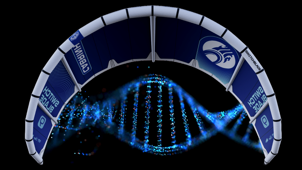 Switchblade DNA